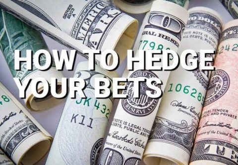 hedge bets meaning hedge bets meaning
